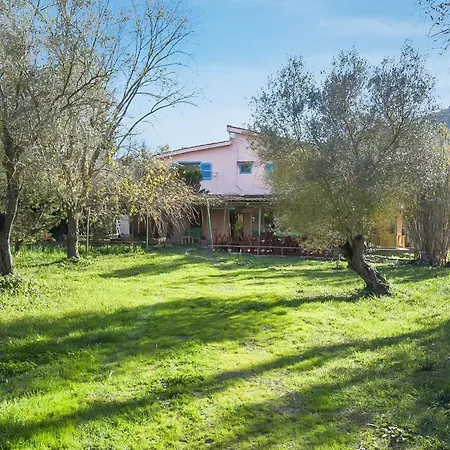 Lefkadas Bohemian Lefkada City